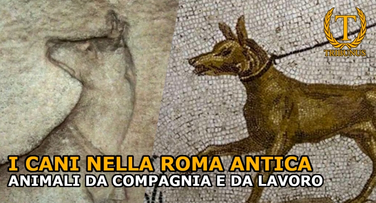 I cani nella Roma Antica